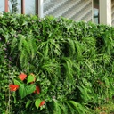 Jardín vertical - B004 - Selva de helechos con calas rojas -  100 x 100 cm
