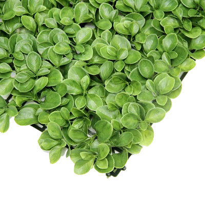 Follaje artificial - Decogreen - A024 - Trebol