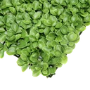 Follaje artificial - Decogreen - A024 - Trebol