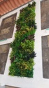 Jardín vertical premium - DE-H029A - Bosque lluvioso -50 x 100 cm