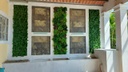Jardín vertical premium - DE-H029A - Bosque lluvioso -50 x 100 cm