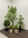 Palma Areca - altura 160 cm -  15 ramas - Planta artificial