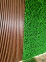 Lámina Acanalada Decorativa - WPC - Dark Wood - 24*160*2900 mm