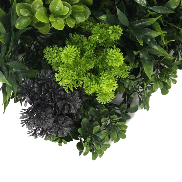 Jardín vertical premium - HBX10403 - Begonia Tropical - 50 x 100 cm