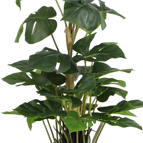 Planta artificial - Calathea Dark - 97 cm de alto - TPT052 - Planta artificial