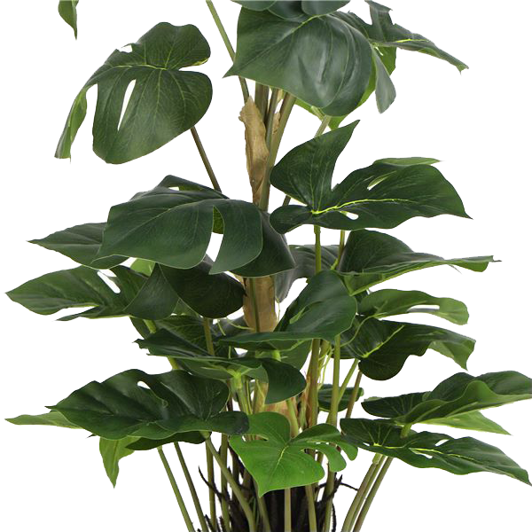 Planta artificial - Calathea Dark - 97 cm de alto - TPT052 - Planta artificial