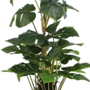 Planta artificial - Calathea Dark - 97 cm de alto - TPT052 - Planta artificial