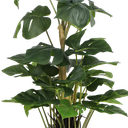 Planta artificial - Calathea Dark - 97 cm de alto - TPT052 - Planta artificial