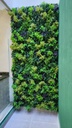 Jardín vertical premium - HBX10403 - Begonia Tropical - 50 x 100 cm