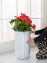 Macetero - Grande - Cilíndrico - Con Textura - 43*79cm - Blanco Mate