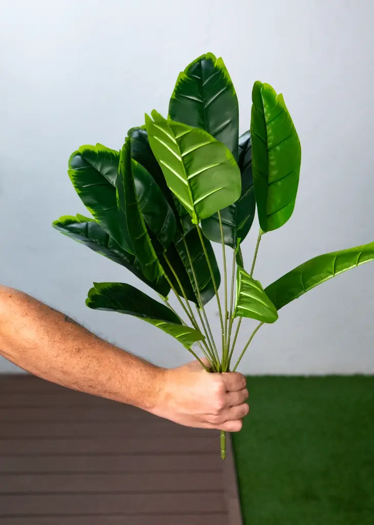 WhatsApp Image 2025-10-14 at 10.08.00 AM (1).webp