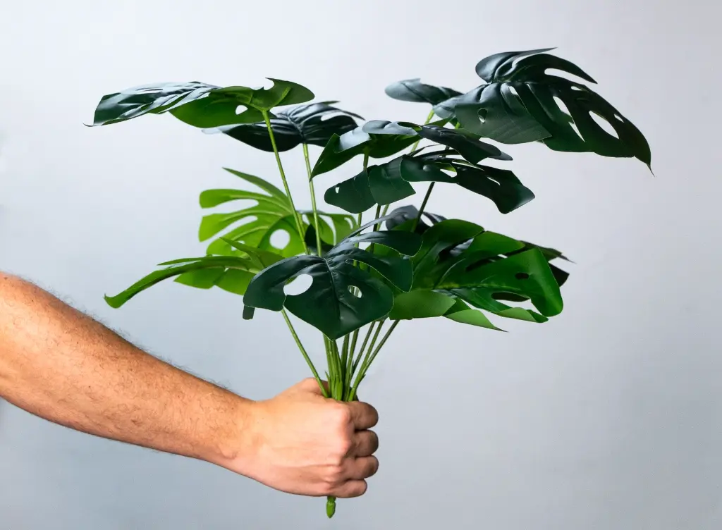 WhatsApp Image 2025-10-14 at 10.08.00 AM (2).webp