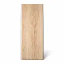 WhatsApp Image 2026-03-18 at 11.09.11 AM (2).webp