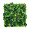 Jardín vertical - B051 - Enredadera mixta -  100 x 100 cm (1 m2)