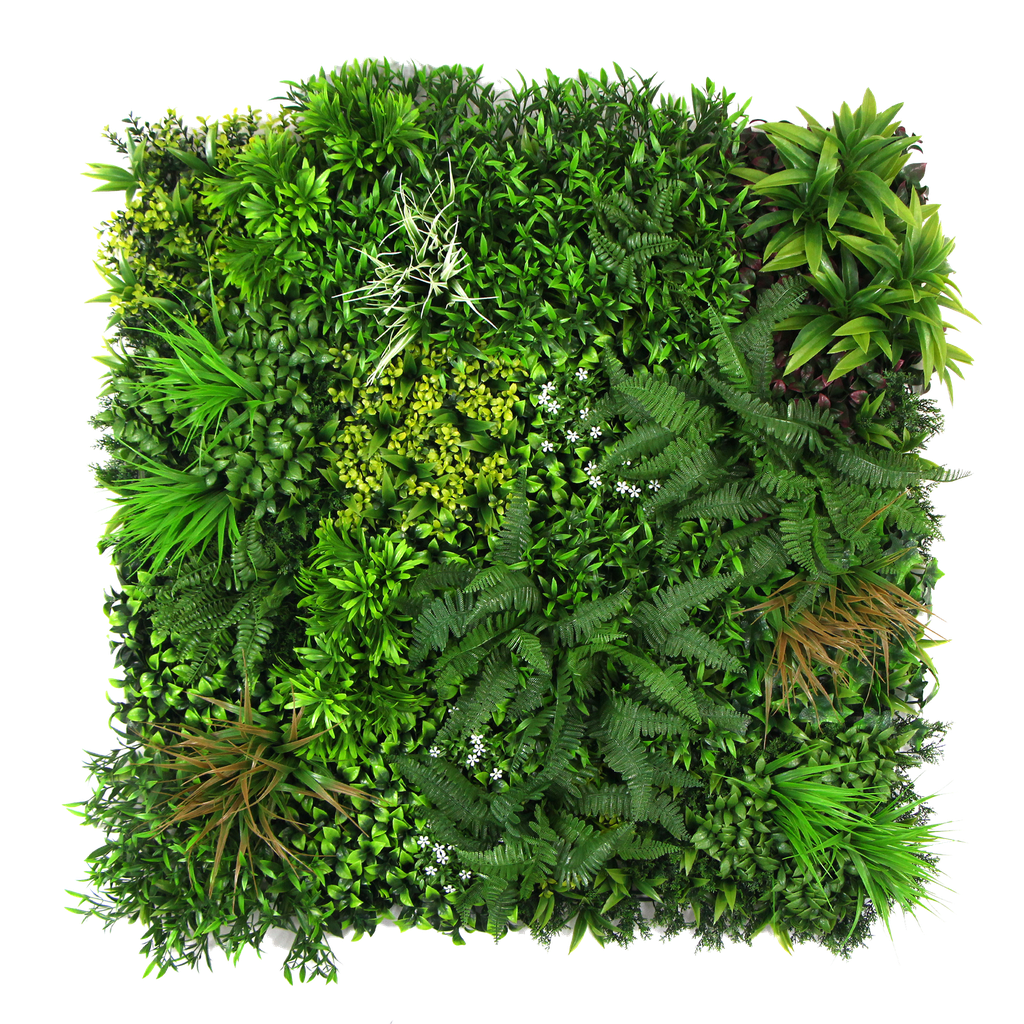 Jardín vertical - B052 - Enredadera otoñal -  100 x 100 cm (1 m2)