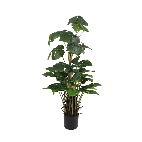 Planta artificial - Calathea Dark - 97 cm de alto - TPT052 - Planta artificial