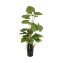 Planta artificial - Calathea Light - 97 cm de alto - TPT055 - Planta artificial