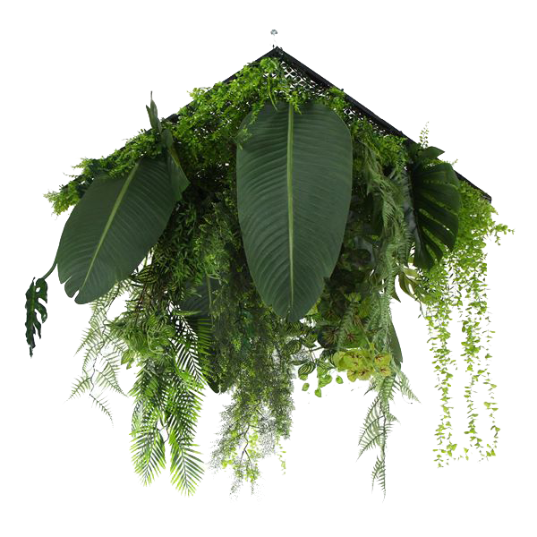 Jardín colgante - HSX030 - Bosque Tropical - 100 x 100 cm (1 m2)