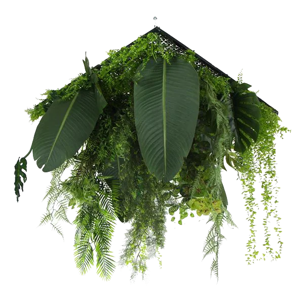 Jardín colgante - HSX030 - Bosque Tropical - 100 x 100 cm (1 m2)