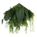 Jardín colgante - HSX030 - Bosque Tropical - 100 x 100 cm (1 m2)
