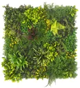 Jardín vertical - Sombra de Helechos - Uso interior y exterior - 100 x 100 cm (1 m2) - HLX082