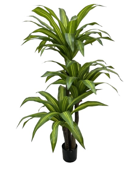 Planta artificial - Dracaena - TPT02590 - 180 cm de alto