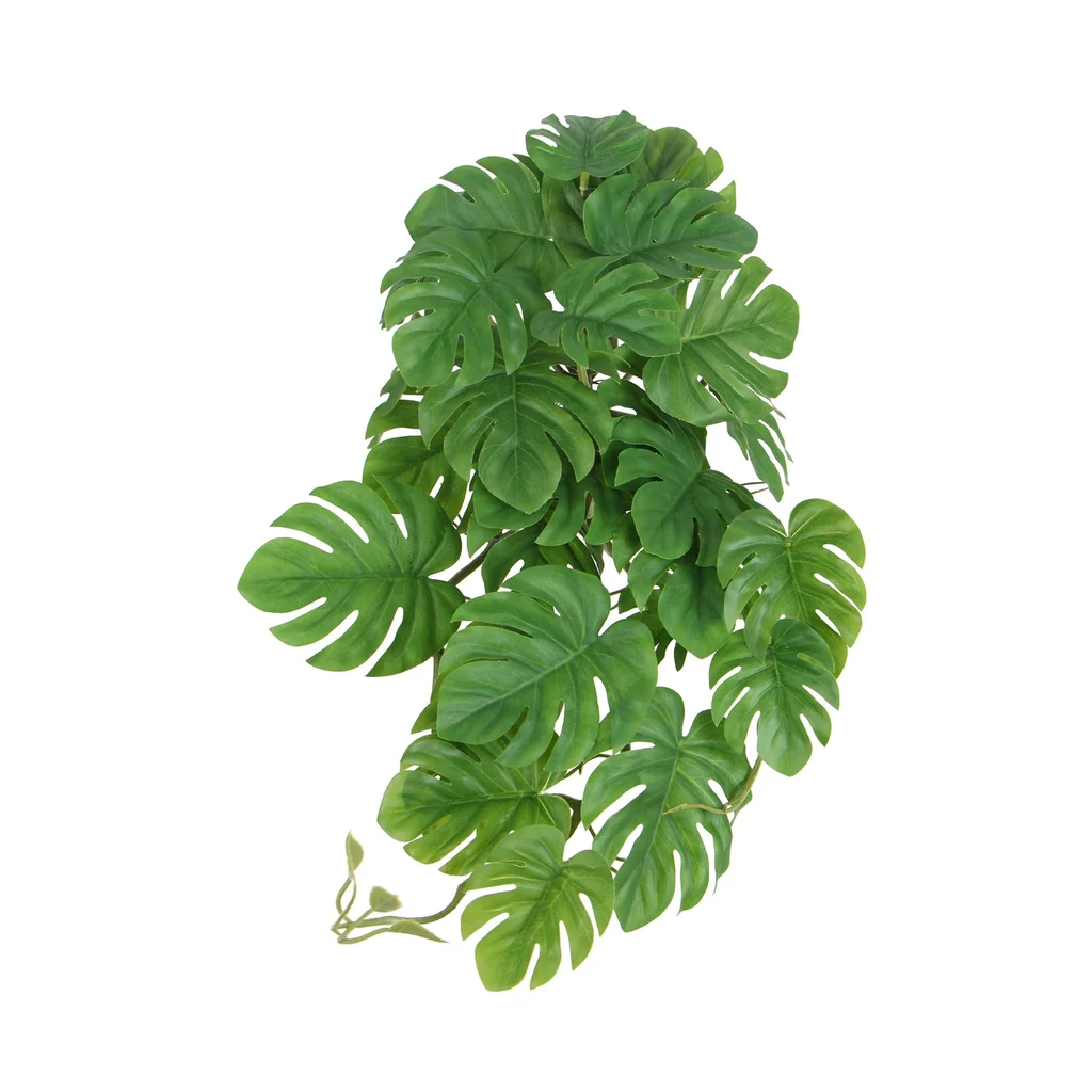 Planta colgante - HGE1361 - Monstera Tropical - 50 cm
