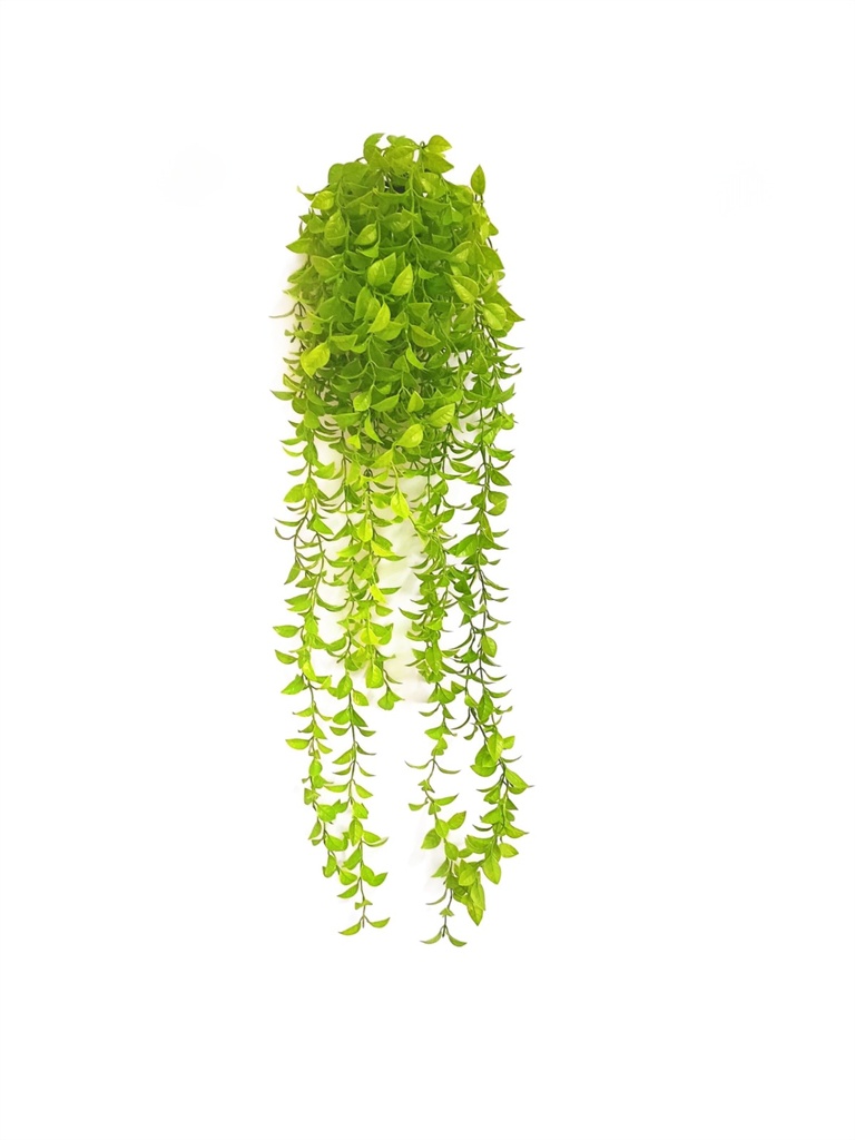 Planta colgante - HGE12601 - Hiedra Radiante - 70 cm