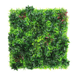 [DE-B051] Jardín vertical - B051 - Enredadera mixta -  100 x 100 cm (1 m2)