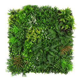 [DE-B052] Jardín vertical - B052 - Enredadera otoñal -  100 x 100 cm (1 m2)