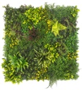 Jardín vertical - Sombra de Helechos - Uso interior y exterior - 100 x 100 cm (1 m2) - L082