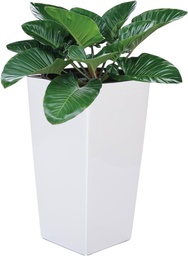 [MA-CU-BL-07] Macetero - Grande - Cuadrado - 39*75 cm - Blanco