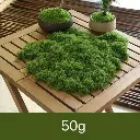 Musgo Artificial - 50gr - Verde Oscuro - Decoración